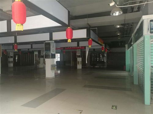 河源市廠房安全檢測鑒定機構 創新技術指導助力企業安全生產，筑牢工業發展基石